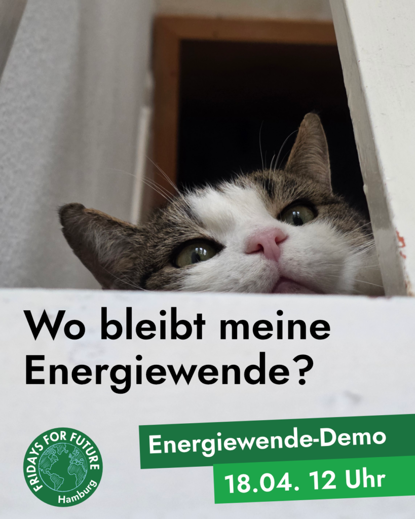 Sharepic: Süße Katze lugt fragend oder neugierig gerade so über Text hervor, darunter schwarzer Text auf weißem Hintergrund "Wo bleibt meine Energiewende?", ganz unten "Energiewende-Demo - 18.04. 12 Uhr" und grünes FFF-Logo 