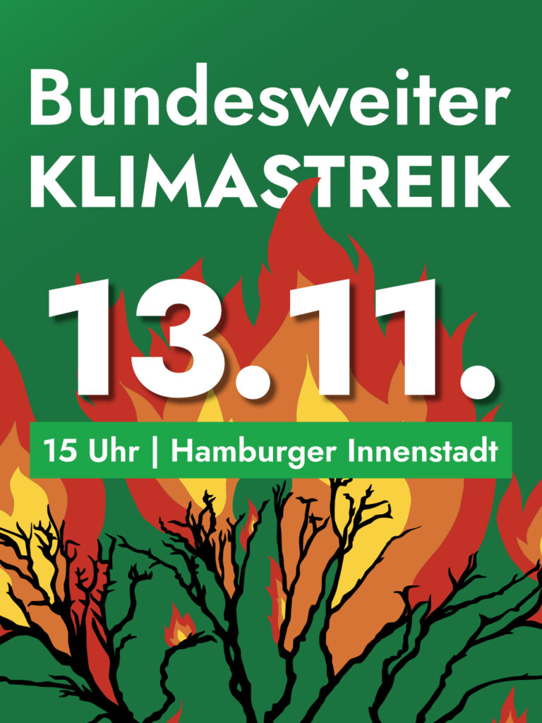 Auf grünem Hintergrund ein gemalter blattloser brennender Baum mit nach oben züngelnden rot-orange-gelben Flammen, oben groß in weißer Schrift "Bundesweiter KLIMASTREIK", ein kleiner Teil des Textes wird durch Flammen verdeckt, darunter im Vordergrund über dem Flammen ganz groß "13.11." mit Textschatten, darunter kleiner auf grünem Hintergrundbalken "15 Uhr | Hamburger Innenstadt"